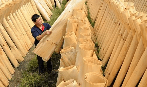 FSC認(rèn)證解疑:在國內(nèi)如何進(jìn)行FSC資格認(rèn)證申請(qǐng)辦理