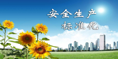 什么是安全生產(chǎn)標(biāo)準(zhǔn)化？